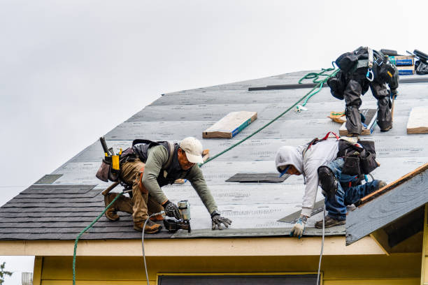 Professional Roofing technician working in Albany, IL