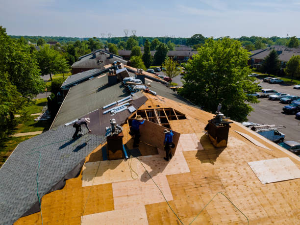 Trusted Storm Damage Roof Repair service in Albany, IL - Brentwood Metal Roofing